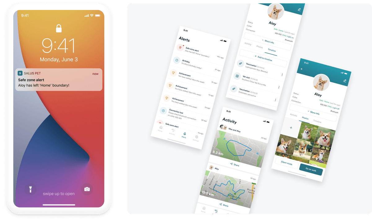 Next-gen pet monitoring and activity-tracking app | Projects | Appello ...