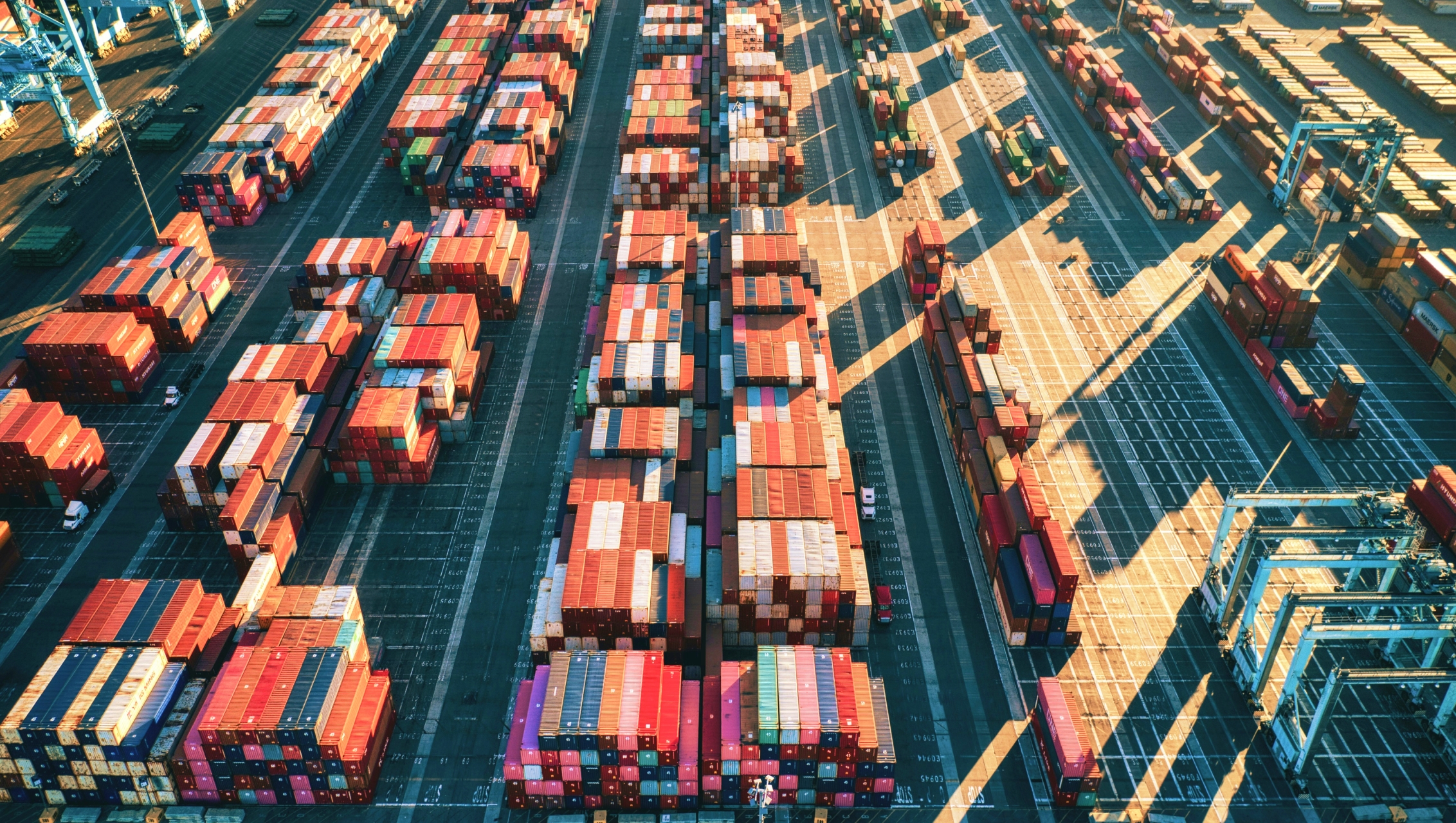 Logistics Software Development Services